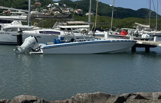 private charter in the st lucia 32ft scarab