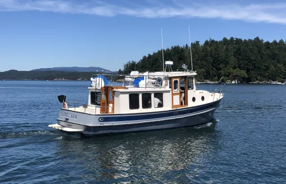 Island hopping and wildlife tour