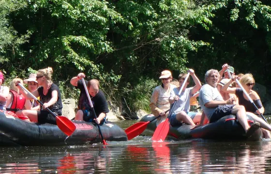 Wildlife Tour in Linz