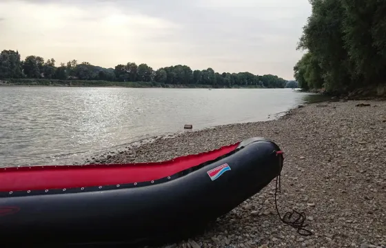 Wildlife Tour in Linz
