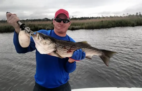 New Bern Inshore Fishing Charter on 22' Bay Boat