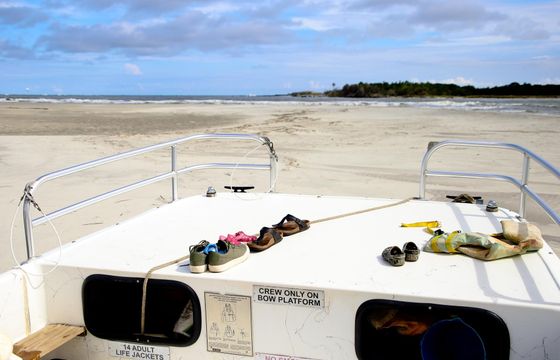 Dolphin watching, sunset cruise, eco-tour with Tideline Tours