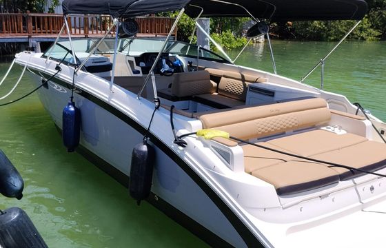 29ft Sea Ray SDX 290 Ready For Fun!!