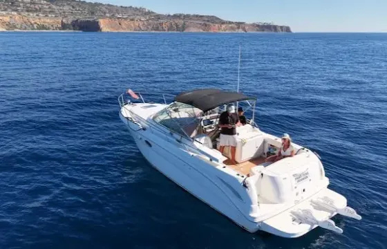 Private Harbor and Coastal Cruises in Redondo Beach - Sea Ray 290 Amberjack Boat