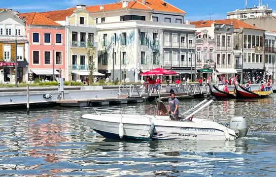 Ria de Aveiro Highlights Private Boat