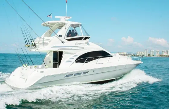 ⚓️ MARIETAS - Fishing Luxury Experience on a 44ft Sea Ray in Puerto Vallarta