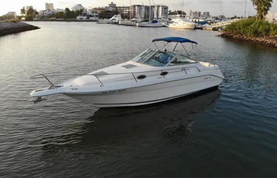 Sea Ray 27ft Yacht for Charter in Mazatlan