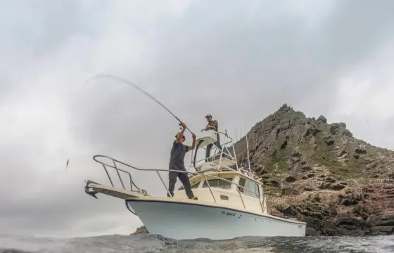 FISHING & SPEARFISHING CHARTER WITH CAPTAIN! 50 COMBINED YEARS EXPERIENCE! 50MPH