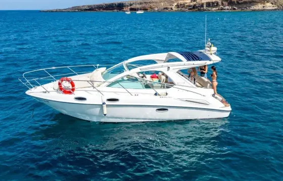 Champagne Private from 2 to 6 hours | Sealine SC29 Yacht