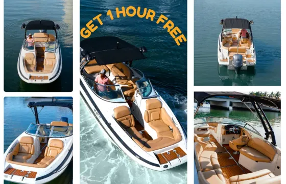 Discover Miami's Islands-Sandbars & Skyline w Captain -No Hidden Fees