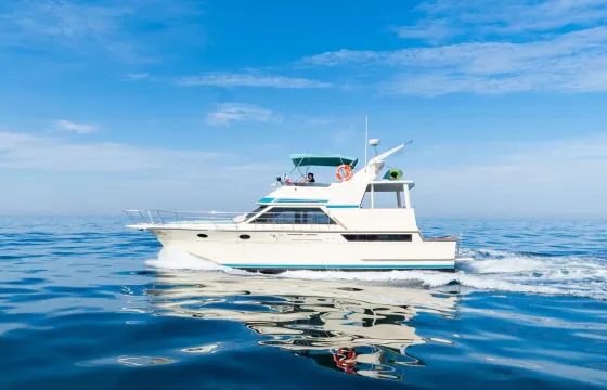 Spacious 50ft Yacht in Puerto Vallarta 🏝 | +18 People