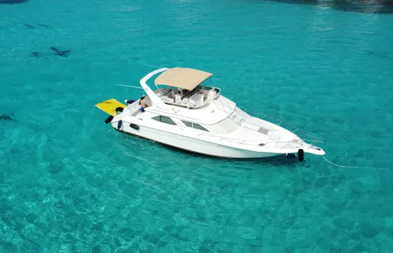 Sea Ray 440 Express Bridge LOA 50 FT Yacht for cruise in Cancun