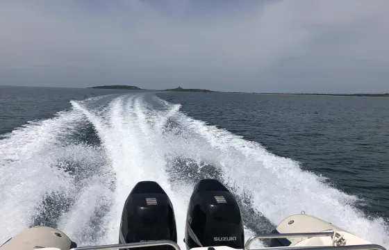 Rent the 26' Gommone Clubman RIB in Porto di Marina di Torregrande