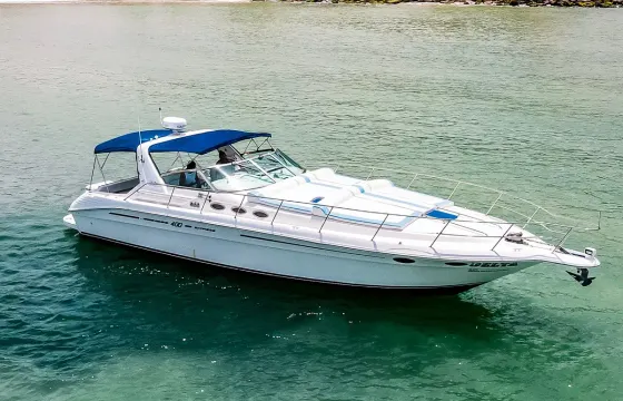 42ft Sea Ray Yacht for 15 in Puerto Vallarta with Captain