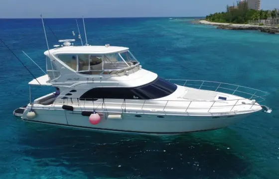 Sea Ray 60 footer Cozumel with food and drinks!