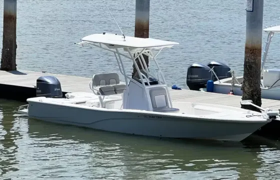 24' Sea Fox viper bay boat