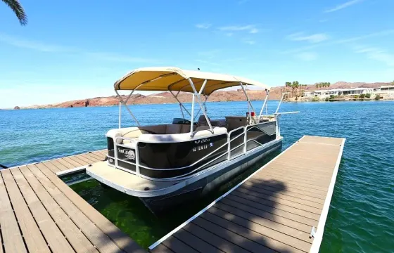 Entertainer with Bar and Diving board!