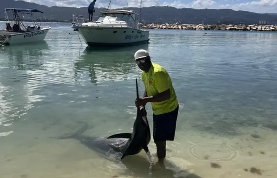 Private Deep Sea Fishing Adventure with Open Bar & More