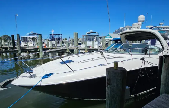 "S.S. South Down" Yacht Charter in D.C.