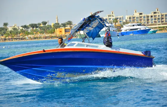 Swim With Dolphin By Semi Private Speedboat & Transfer - Hurghada