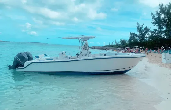 Snorkeling, swimming pigs, turtles, crystal clear private beaches , rose island