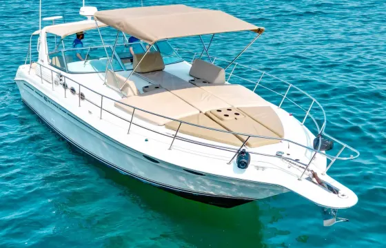 Charter Sea Ray 42ft Luxury Yacht in Puerto Vallarta
