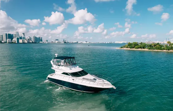 Sun, Luxury & Fun | Sea Ray Flybridge 52ft in Miami