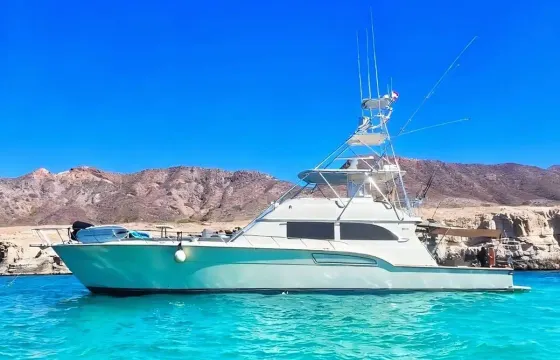 Deep Sea Fishing Charter & Adventure - 72ft Donzi Yacht