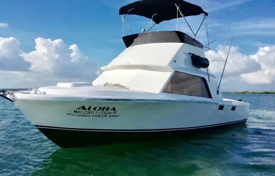 Bertram 35ft, free pick up transportation Hotel Marina one way