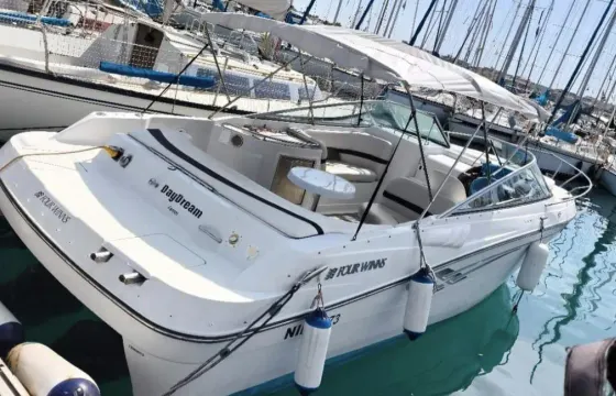 🐬 Private Cannes Boat Trip – Lérins Islands Snorkeling & All Inclusive (28’) 🌊