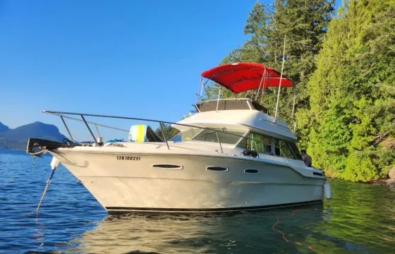 34ft  Sedan Bridge Comfy Yacht Sleeps 6 from Richmond