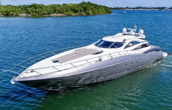 Beautiful Large Sunseeker Predator 75