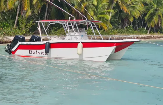VIP POWER CATAMARAN FOR SAONA ISLAND OR CATALINA ISLAND