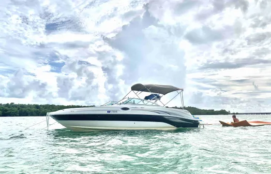 Experience the 26' Sea Ray in Miami!