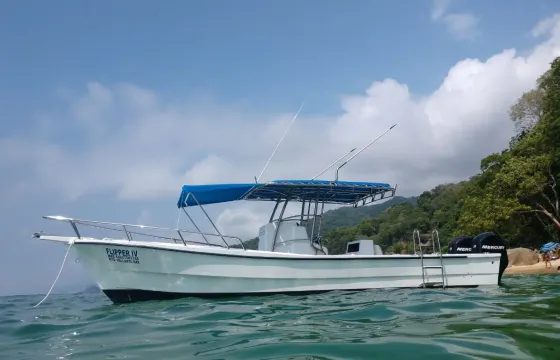 Fishing Charter - 28ft Panga Boat Flipper IV in Nuevo Vallarta
