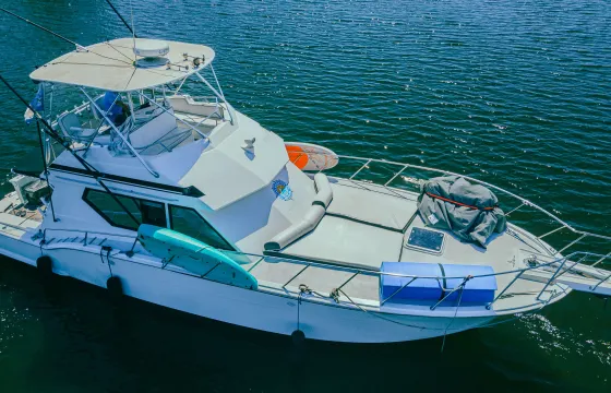Hatteras 46 ft Luxury Yacht Charter