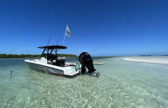 Sandbar Charter and Island Tour