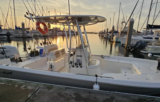 Dolphin Watching Tours and Eco Tours on Charleston Harbor