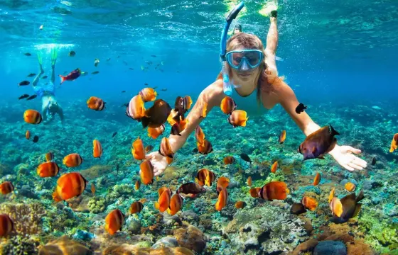 Dolphin, Snorkeling and Coastal Tour Muscat!
