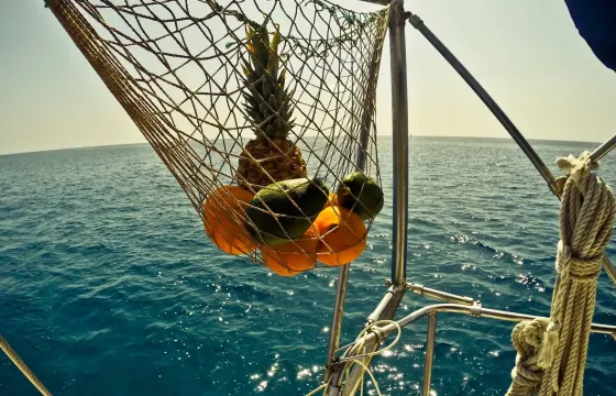 FUERTEVENTURA SAILING TRIPS  in Morro Jable, Canarias