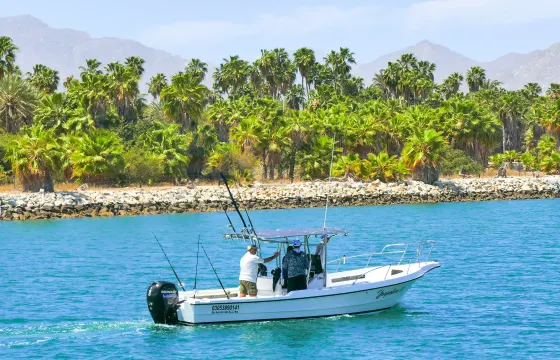 Super Panga Boat 26ft Whale Watching (Only on Season)