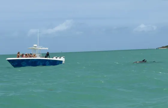 Reel Paradise Key West Sandbar + Snorkel + Private Charter + Light Tackle Fishin