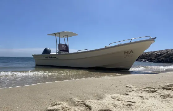 Setúbal, Tróia and Arrábida boat tour for up to 12 people