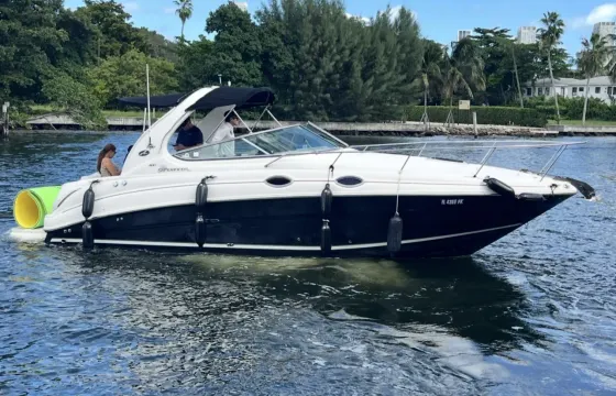 Enjoy 31ft Sea Ray Motor Yacht for 12 Guests in Miami