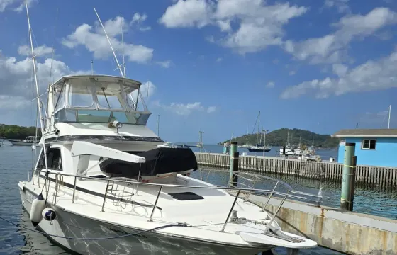 46' Sea Ray Sedan Bridge Yacht for Trips along the North West Coast