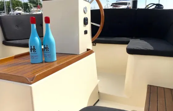 Enjoy the Veerse Meer with up to 12 persons