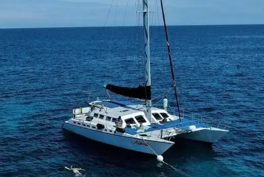Bermuda Private Catamaran Aristocat Cruise Experience 30 Pax