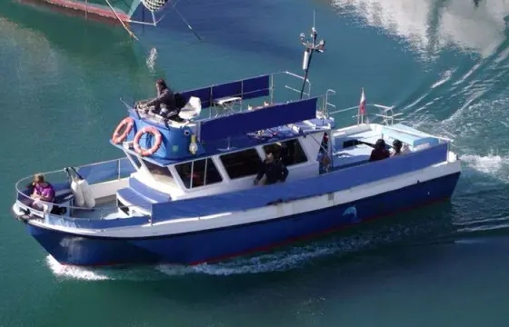 39' Dolphin Safari Boat In Gibraltar