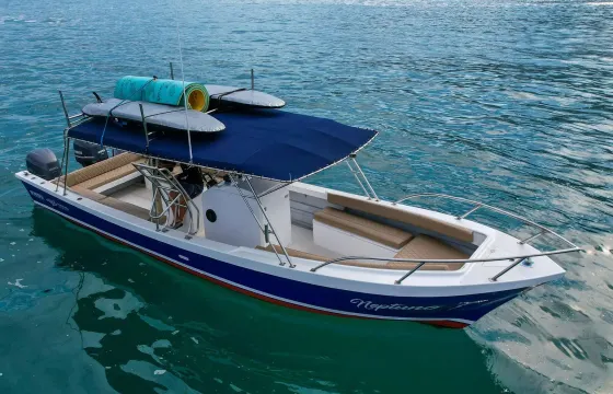Super Nava Panga 33ft for Fishing Adventure, Snorkeling and more Puerto Vallarta