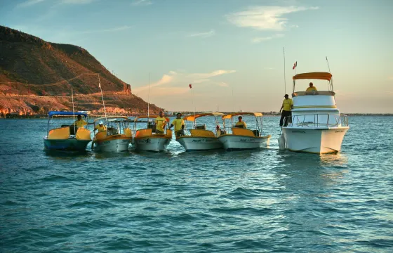 28' Sportfisherman Cruiser Charter in La Paz, Mexico